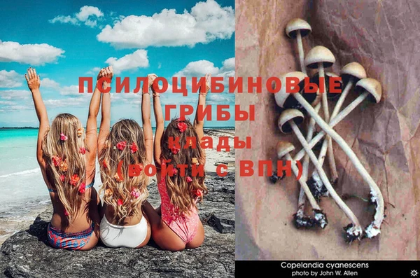 ALPHA-PVP Вяземский